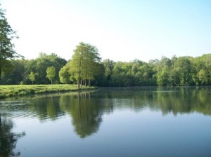 Vörstetter Baggersee